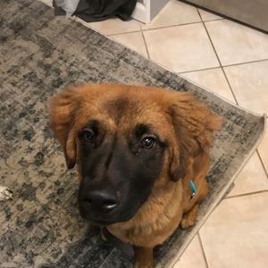 Meet your Posher, Scott